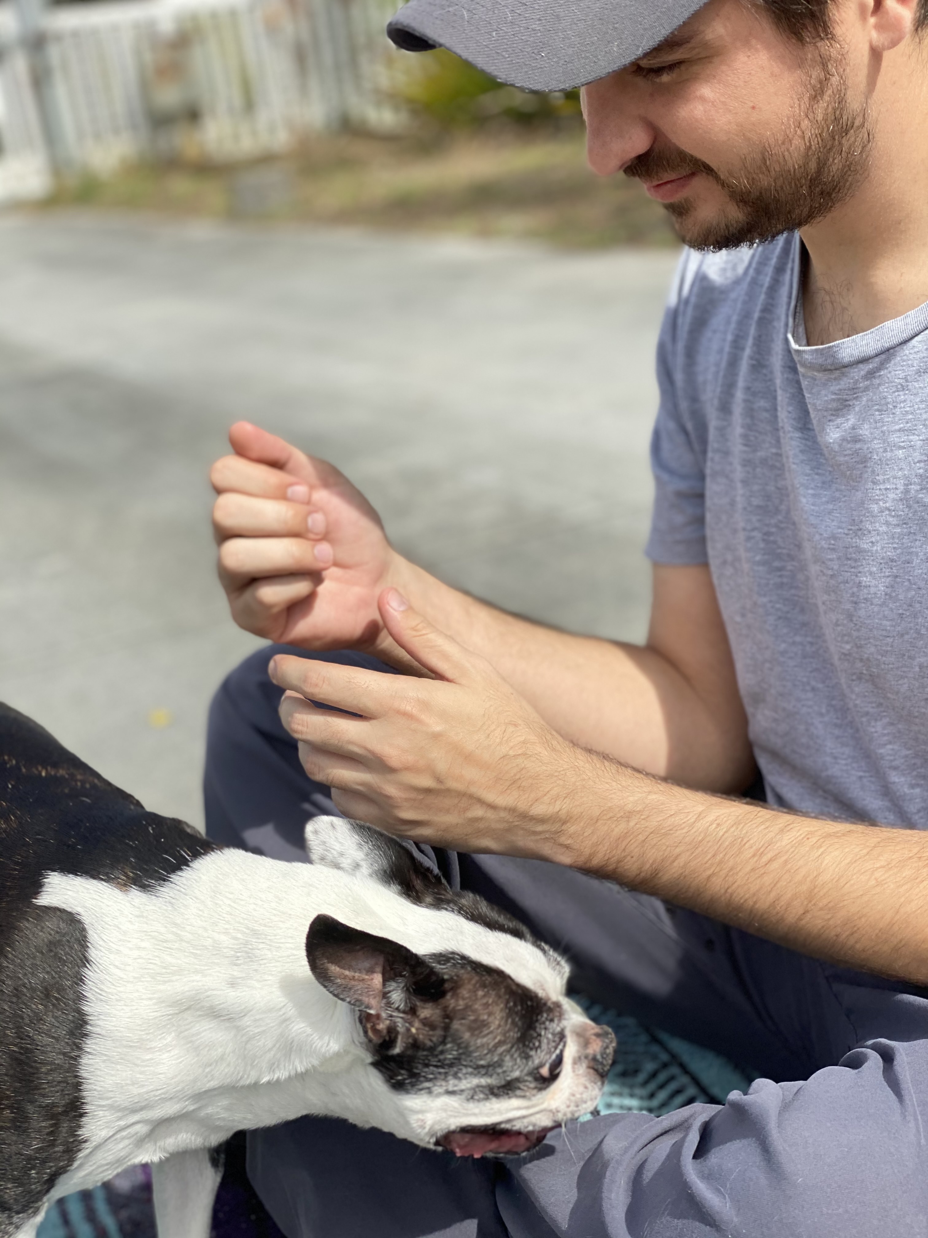 Plant Based Dog Guy With Boston Terrier